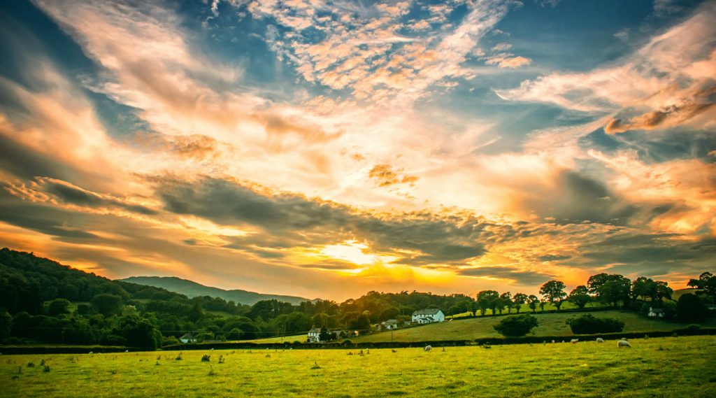 trusted realtor kentucky home buyers